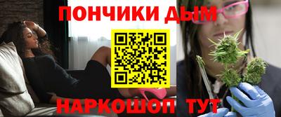 индика Будённовск