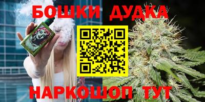 индика Будённовск