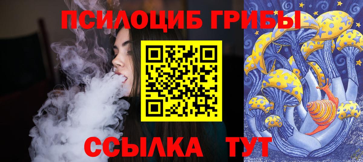 где найти   Галлюциногенные грибы Psilocybe  Псилоцибиновые грибы прущие грибы  Вход с VPN  Самара 